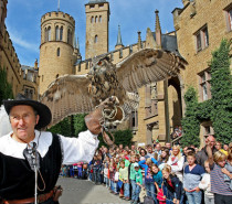 Falkner-Wochenende auf der Burg Hohenzollern