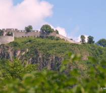 Einmalige Aussicht und seltenes Biotop: Frühlingsausflug auf den Hohentwiel Einmalige Aussicht und seltenes Biotop: Frühlingsausflug auf den Hohentwiel