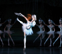 Lindauer Marionettenoper März 2019 mit „Schwanensee“ Lindauer Marionettenoper März 2019 mit „Schwanensee“