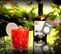 BOAR Lockstoff – Der Sommer-Cocktail 2019