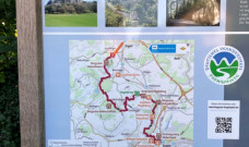 SinnesImpulse pur: Premiumwanderweg „Hegauer Vulkan Tour“ SinnesImpulse pur: Premiumwanderweg „Hegauer Vulkan Tour“