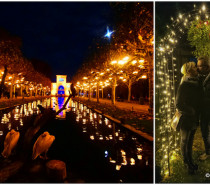 Christmas Garden: Millionen Lichtpunkte auf der Insel Mainau