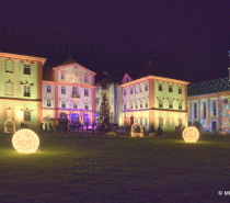 Lichtermeer im Bodensee begeistert Eröffnungsgäste: Insel Mainau im Glanz des Christmas Garden