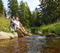 Wandern am Wasser: Tipps für erfrischende Touren im Hochschwarzwald Wandern am Wasser: Tipps für erfrischende Touren im Hochschwarzwald
