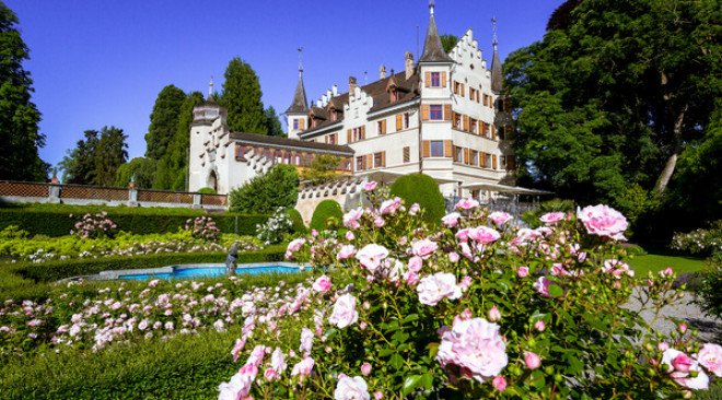 Gartenjahr 2024 in Konstanz und am Bodensee
