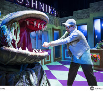 Wiederaufnahme „Der kleine Horrorladen“ im Stadttheater Konstanz Wiederaufnahme „Der kleine Horrorladen“ im Stadttheater Konstanz