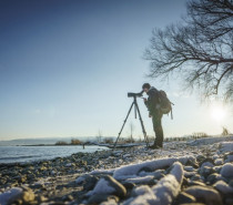 Vorarlberger Natursafaris zu besonderen Plätzen zwischen Bodensee und Ill Vorarlberger Natursafaris zu besonderen Plätzen zwischen Bodensee und Ill