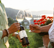 Wein am Bodensee 2025 – Fünf Museen, ein Projekt Wein am Bodensee 2025 – Fünf Museen, ein Projekt