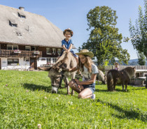 Ferienzeit ist Abenteuerzeit: Mehr als 100 Veranstaltungen für Familien mit Kindern Ferienzeit ist Abenteuerzeit: Mehr als 100 Veranstaltungen für Familien mit Kindern